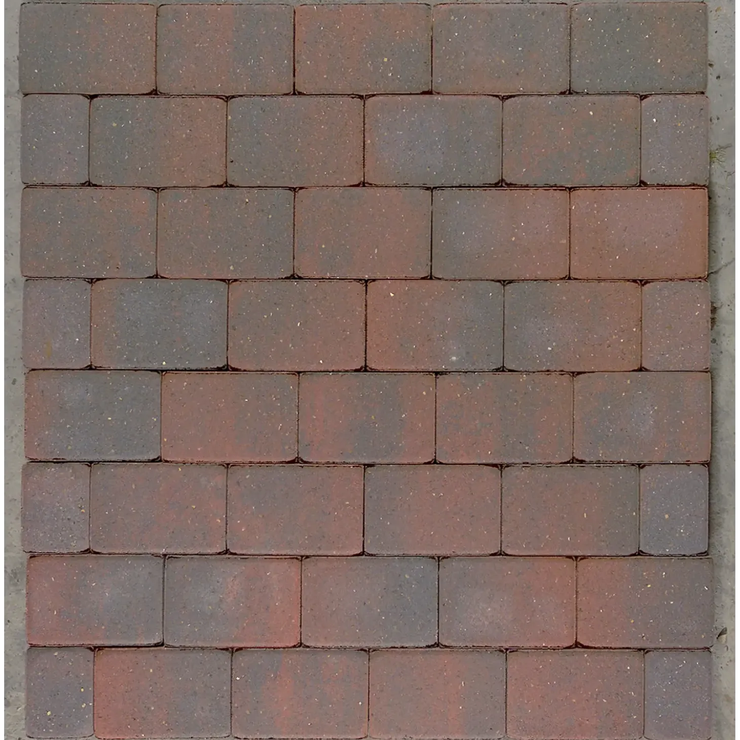 5 cm colormix Hjertingsten 14x21x5 cm - 34 stk/m²