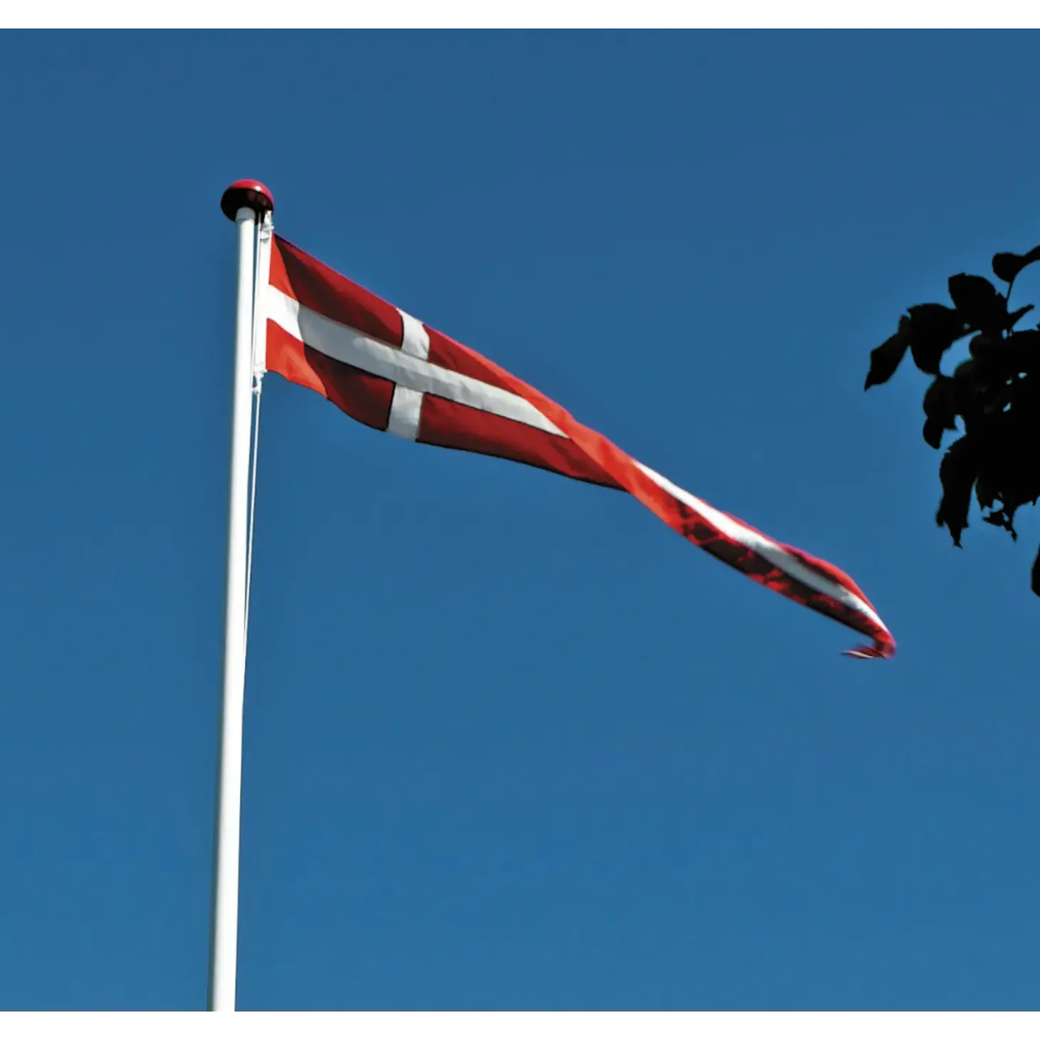 DanoMast Dannebrogstander til 8 meter mast 50x300 cm.