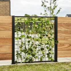 Elmholm espalier forlængersæt 95 cm