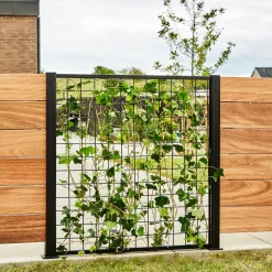 Elmholm espalier startsæt 95 cm