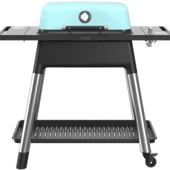 Everdure Force gasgrill mint