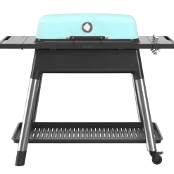 Everdure Furnace gasgrill mint
