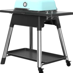 Everdure Furnace gasgrill mint