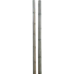 Hegnspæl Ø10x300 cm