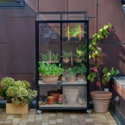 Juliana Urban City Greenhouse vægdrivhus sort med hærdet glas 0,32 m²