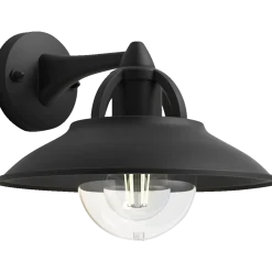 Philips Cormorant udendørs væglampe sort